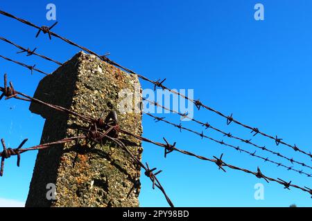 Stacheldraht, Doppeldraht, Metallband mit scharfen Spitzen für Barrieren. Rostiger Stacheldraht am blauen Himmel. Der Begriff Krieg, die Einschränkung von Rechten und Freiheiten. Betonpfeiler. Stockfoto