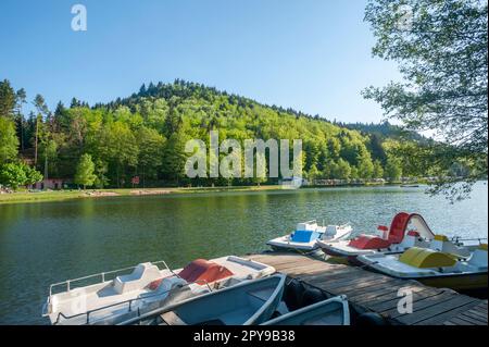 Landschaft am Clausensee, Clausen, Pfalz, Rheinland-Pfalz, Deutschland, Europa Stockfoto