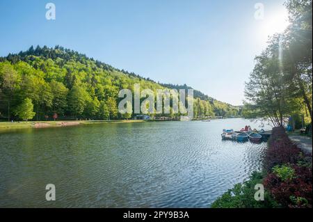 Landschaft am Clausensee, Clausen, Pfalz, Rheinland-Pfalz, Deutschland, Europa Stockfoto