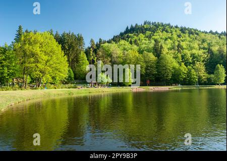 Landschaft am Clausensee, Clausen, Pfalz, Rheinland-Pfalz, Deutschland, Europa Stockfoto