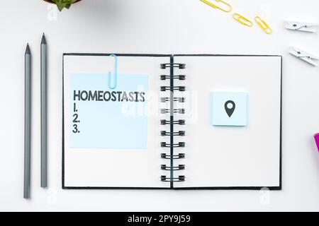Text zeigt Inspirationshomöostase. Geschäftsansatz die Tendenz zu einem Gleichgewicht zwischen voneinander abhängigen Elementen Stockfoto