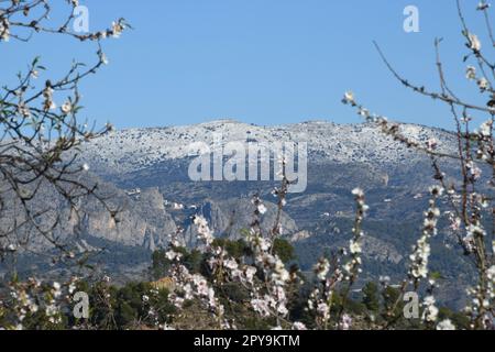 Sehr seltener Schnee in den Bergen von Guadalest, Provinz Alicante, Costa Blanca, Spanien Stockfoto