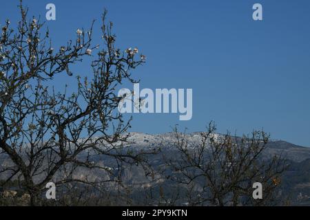 Sehr seltener Schnee in den Bergen von Guadalest, Provinz Alicante, Costa Blanca, Spanien Stockfoto