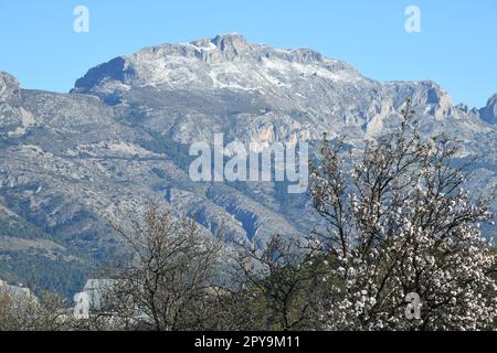 Sehr seltener Schnee in den Bergen von Guadalest, Provinz Alicante, Costa Blanca, Spanien Stockfoto