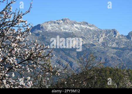 Sehr seltener Schnee in den Bergen von Guadalest, Provinz Alicante, Costa Blanca, Spanien Stockfoto