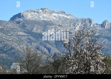 Sehr seltener Schnee in den Bergen von Guadalest, Provinz Alicante, Costa Blanca, Spanien Stockfoto