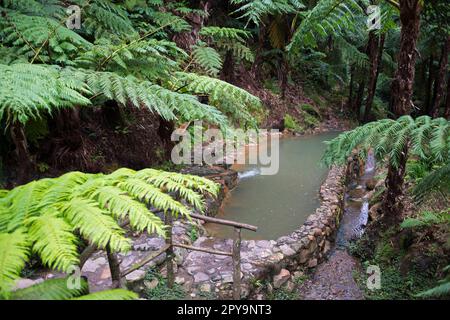 Thermalbad (Caldeira) Velha, Sao Miguel, Azoren, Portugal Stockfoto