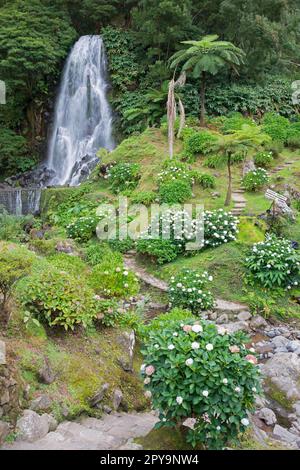 Wasserfall im Flusstal, Ribeira dos Caldeiroes, Sao Miguel, Azoren, Portugal Stockfoto