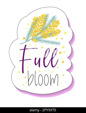 Volle Blüte. Kleiner gelber Blumenaufkleber. Frühlingsmimosablüten. Süße Zeichentricksticker. Stockfoto