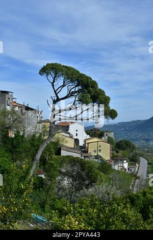 Panoramablick auf di Guardia Sanframondi in der Provinz Benevento, Italien. Stockfoto