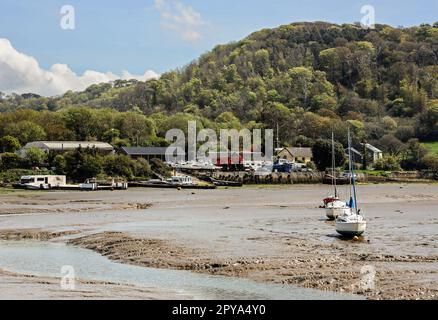 Gezeiten im Multi Hull Centre am Ufer des Flusses Tamar am Foss Quay Millbrook, Cornwall. Stockfoto