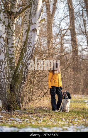 Ein Teenager im Park mit einem Hund. englischer Setter Stockfoto