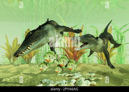 Ambulocetus war ein früher Wal, der während der Eozener Zeit an Land wandern und im Wasser schwimmen konnte. Stockfoto