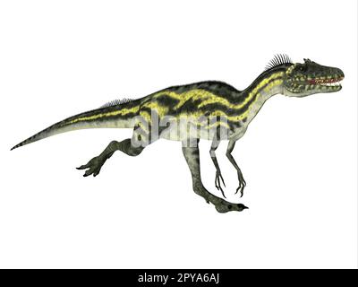 Deltadromeus war ein kleiner fleischfressender Theropod-Dinosaurier, der in der Kreidezeit in Afrika lebte. Stockfoto