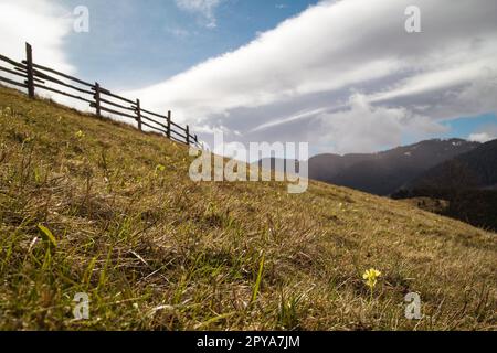 Holzzaun auf Grashang Landschaftsfoto Stockfoto