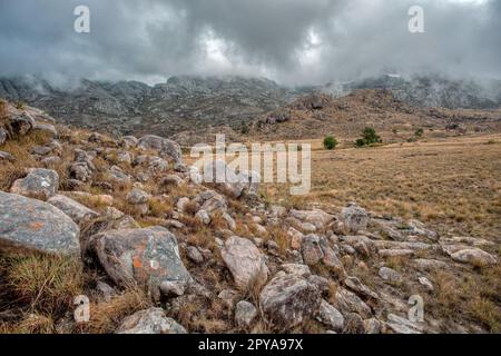 Andringitra-Nationalpark, Berglandschaft, Madagaskar Wildnis Landschaft Stockfoto