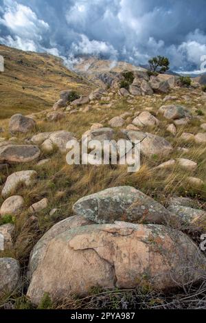 Andringitra-Nationalpark, Berglandschaft, Madagaskar Wildnis Landschaft Stockfoto