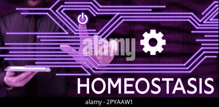 Text zeigt Inspirationshomöostase. Unternehmen zeigen die Tendenz zu einem Gleichgewicht zwischen voneinander abhängigen Elementen Stockfoto