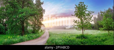 Kiesstraße im Nebel im Naturpark im Sommer. Stockfoto