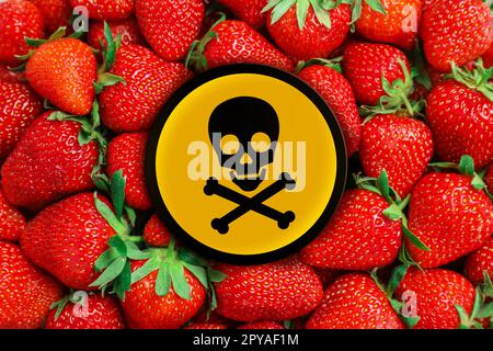 Schädelknochen und Kreuz-Zeichen auf reife Erdbeeren, Nahaufnahme. Vorsicht - giftig Stockfoto