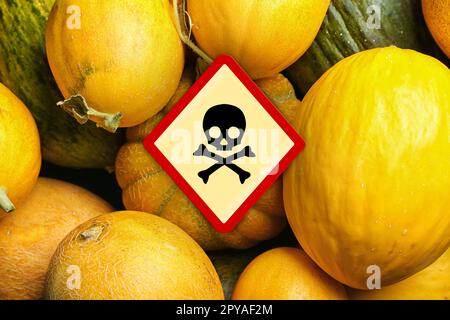 Schädelknochen-Schild auf reifen Melonen, Draufsicht. Vorsicht - giftig Stockfoto