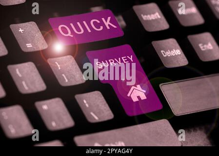 Textzeichen mit Schnellübersicht. Internetkonzept Führen Sie eine schnelle Überprüfung der Zustandssituation von etwas durch Stockfoto