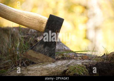 Beil oder Axt, stehend in einem Baumstumpf Stockfoto