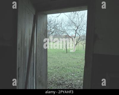 Alte, offene Holztür. Kinderbettüren, Stall für Vieh oder Garage. Holzbalken und Türrahmen. Frühlingsgrün von der Tür. Tür zum Unbekannten Stockfoto