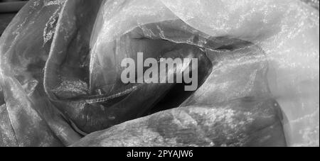 Organza Monochrom. Glänzendes, reflektierendes, wunderschönes Material für Vorhänge, Tücher. Option für Innenraumgestaltung. Verdrehter, zwanglos gefalteter Organzaabschnitt in Sonnenlicht Stockfoto