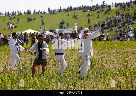 Saitama, Japan. 3. Mai 2023, Saitama, Japan: Teilnehmer fliegen während des Riesendrachen-Festivals in Kasukabe City einen riesigen Drachen. Die Teilnehmer flogen enorme Drachen inÂ Gebet für eine reichhaltige Ernte aus ihrer Seidenraupenzucht. Die beiden größten Riesendrachen wiegen 800 kg (das gleiche Gewicht wie ein kleines Auto) und sind 11 Meter breit und 15 Meter hoch. Die Feier fand occurredÂ seit 1841 jährlich statt, außer während der COVID-19-Pandemie. Es begann, als ein buddhistischer Mönch die Einheimischen darüber informierte, dass ein Drachen geflogen wurde, um für eine reichliche Ernte von Seidenraupen zu beten. Stockfoto