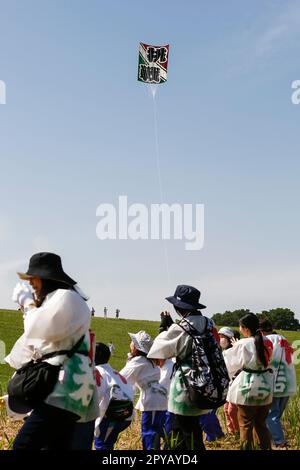 Saitama, Japan. 3. Mai 2023, Saitama, Japan: Teilnehmer fliegen während des Riesendrachen-Festivals in Kasukabe City einen riesigen Drachen. Die Teilnehmer flogen enorme Drachen inÂ Gebet für eine reichhaltige Ernte aus ihrer Seidenraupenzucht. Die beiden größten Riesendrachen wiegen 800 kg (das gleiche Gewicht wie ein kleines Auto) und sind 11 Meter breit und 15 Meter hoch. Die Feier fand occurredÂ seit 1841 jährlich statt, außer während der COVID-19-Pandemie. Es begann, als ein buddhistischer Mönch die Einheimischen darüber informierte, dass ein Drachen geflogen wurde, um für eine reichliche Ernte von Seidenraupen zu beten. Stockfoto