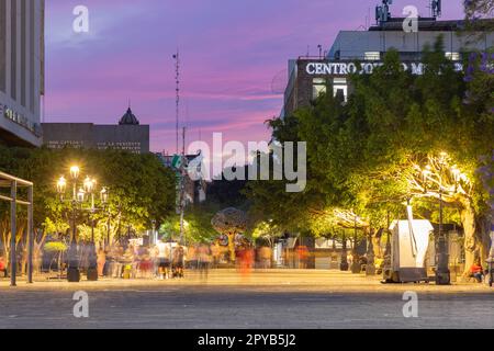 Mexiko, 26 2023. April - Nachtsicht auf die Zona Centro Stockfoto