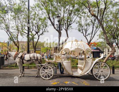 Mexiko, APR 24 2023 - Tagsüber Blick auf einen Pferdewagen und die Stadtlandschaft Stockfoto