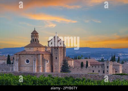 Königliche Abtei von Santa Maria de Poblet, zisterzienserkloster, Katalonien, Spanien Stockfoto