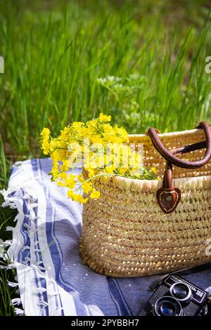 Ein Strohkorb steht auf einer blauen Decke auf grünem Gras zusammen mit einem Strauß gelber Blumen. Im Hintergrund befindet sich eine alte Kamera mit dem Namen „Lover 166“. Stockfoto