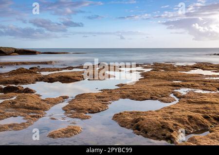 La Caleta Beach, Costa Adeje, Teneriffa, Spanien Stockfoto