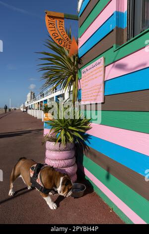 Goat Ledge am 6. Oktober 2022 auf der unteren Promenade in St Leonards on Sea, East Sussex England. Kredit: SMP News Stockfoto