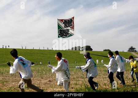 Saitama, Japan. 3. Mai 2023. Die Teilnehmer fliegen während des Riesendrachen-Festivals in Kasukabe City einen riesigen Drachen. Die Teilnehmer flogen riesige Drachen, um für eine reichhaltige Ernte ihrer Seidenraupenzucht zu beten. Die beiden größten Riesendrachen wiegen 800 kg (das gleiche Gewicht wie ein kleines Auto) und sind 11 Meter breit und 15 Meter hoch. Die Feier findet seit 1841 jährlich statt. (Kreditbild: © Rodrigo Reyes Marin/ZUMA Press Wire) NUR REDAKTIONELLE VERWENDUNG! Nicht für den kommerziellen GEBRAUCH! Stockfoto