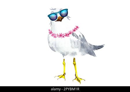 Aquarelle Darstellung einer Cartoon-Möwe. Möwe mit Brille, Aquarellzeichnung, auf weißem Hintergrund. Stockfoto