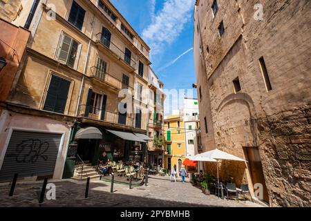 La Biblioteca de Babel, Carrer Arabí, Palma, Mallorca, balearen, Spanien Stockfoto