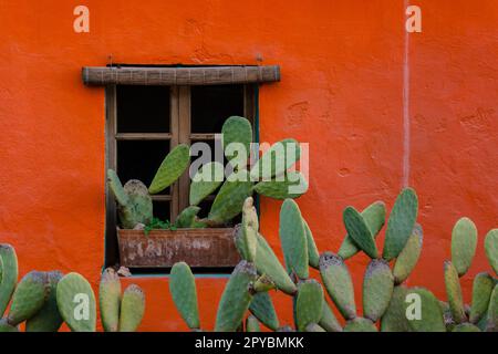 casa de color, Barrio de El Terreno, Distrito de Poniente , Palma de Mallorca , islas baleares, España, europa Stockfoto