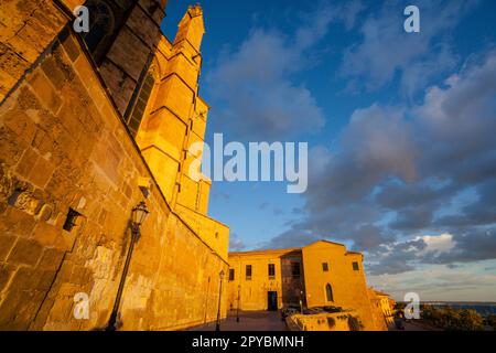 Portal tapiado en la plaza del mirador, Catedral de Mallorca , siglo XIII, Monumento Histórico-artístico, Palma, mallorca, islas baleares, España, eu Stockfoto