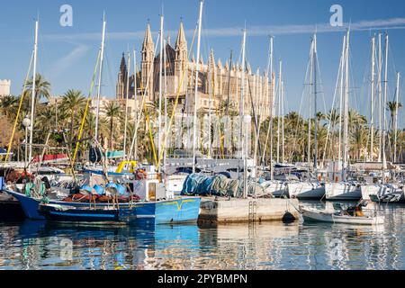 Catedral de Palma desde Moll de la Riba, Palma, mallorca, islas baleares, españa, europa Stockfoto