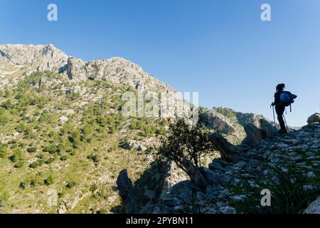 Puig De Sa Cova des Carboner, 842 m, sierra de Tramuntana, mallorca, balearen, spanien, europa Stockfoto