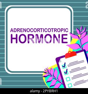 Begriffliche Untertitelung adrenokortikotropes Hormon. Das durch die Hypophysenrinde sezernierte betriebsbegriffliche Hormon Stockfoto