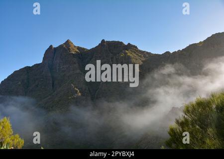 Nebel in den Bergen von Teneriffa in Spanien Stockfoto