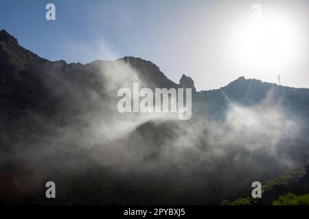 Nebel in den Bergen von Teneriffa in Spanien Stockfoto