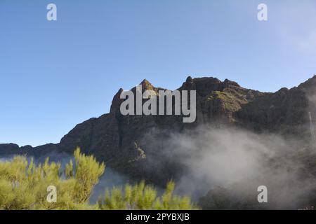 Nebel in den Bergen von Teneriffa in Spanien Stockfoto