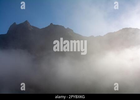 Nebel in den Bergen von Teneriffa in Spanien Stockfoto