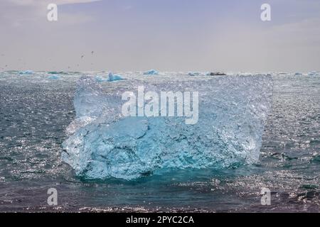 Diamond Beach in Island mit blauen Eisbergen, die auf schwarzem Sand schmelzen und Eis, das mit Sonnenlicht glitzert. Stockfoto